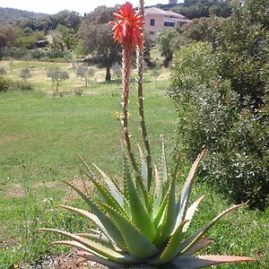 agriturismo-valverde-di-naitana-rita.hotelsalgherosardinia.com/